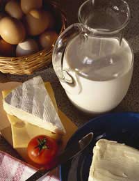 Dairy Products